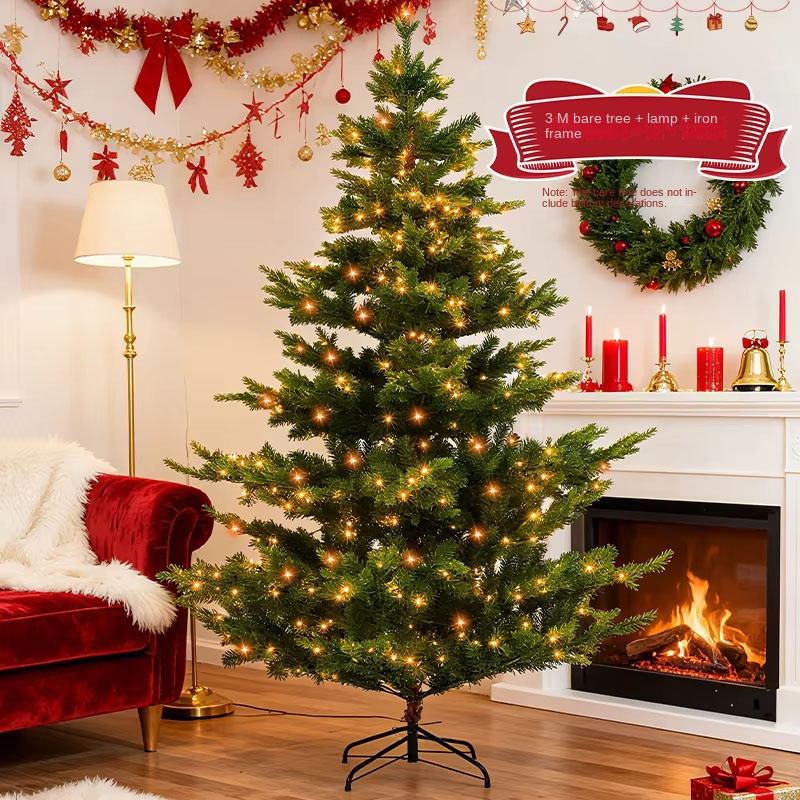 [Grand Fir Tree] 3m Comes with Lights