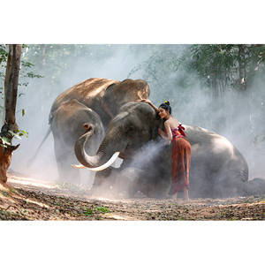 <span class=keywords><strong>Realismo</strong></span> moderno elefante pittura a olio parete di casa carta d'arte supporto per la natura ritratto della fauna selvatica soggiorno decorativo appeso - Product Image 1