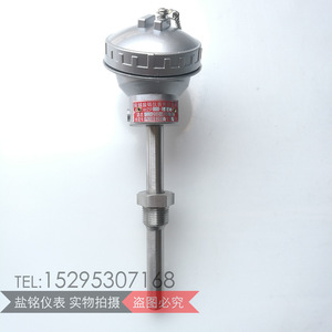 Salt Inscription Pt100 Temperature Sensor Wzpk Six Wire Screw Terminal For Batching Plants - Product Image 4