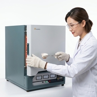 Four à arc électrique de laboratoire programmable à température contrôlée de haute qualité et personnalisé