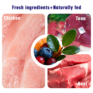 מכירות חמות 85 גרם לחתולים מזון רטוב חפיסת בשר עוף סלמון בשר עוף סלמון בשר בקר סלמון - Product Image 2