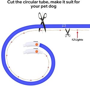Collar de Silicona para Perro con Luces LED Intermitentes, Resistente al Agua, Recargable por USB, con Diseño de Puntos, para Todas las Estaciones - Product Image 3