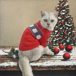 Handgewebter Weihnachtsmann-Halloween-Haustierpullover für Katzen, strapazierfähig, umweltfreundlich, Polyester, bequem, für den Außenbereich, Herbst/Winter - Product Image 1