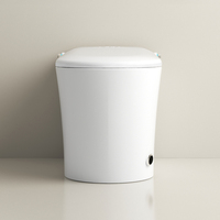 Toilette intelligente noire mate entièrement automatique avec nettoyage à rabat, chauffage et séchage Caractéristiques Réservoir d'eau intégré toilette monobloc