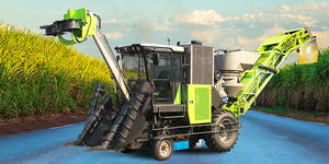 Machine de découpe et d'harry potter, mini grue de sucre, <span class=keywords><strong>tige</strong></span> entière - Product Image 2