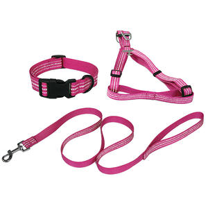क्रॉस-बॉर्डर पैडड फैशन रिबन ठोस रंग नायलॉन कुत्ते कॉलर पट्टा हार्नेस - Product Image 1