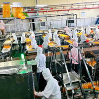 ENAK Automatische Machine voor de productie van ingeblikt fruit voor sinaasappel, mango, kiwi, aardbei, perzik en abrikoos