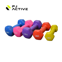 Haltères hexagonaux en fonte PINJIAN pour aérobic, surface lumineuse, pour femmes, fitness, durables, revêtement plastique, usage domestique