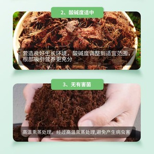 ปุ๋ยหมักมะพร้าวเกลือต่ำออร์แกนิกพืชสีเขียวทั่วไป & ปุ๋ยดอกไม้/ผักสำหรับทำสวนดินที่มีธาตุอาหาร - Product Image 4