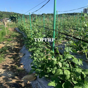Estacas de Fibra de Vidrio de Alta Resistencia para Árboles, Postes de Soporte para Invernaderos, Varas para Plantas Trepadoras de Jardín y Vivero - Product Image 2