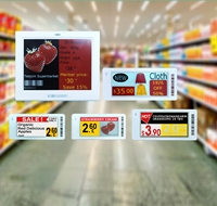 3,5 "4-Color Eas System Solución al por menor Etiquetas electrónicas Esl E-Ink Eaper Etiqueta de estante electrónico para etiquetas de precio de pelucas de supermercado