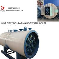 Chaudière à eau chaude électrique industrielle horizontale entièrement automatique avec écran tactile LCD et contrôle intelligent de la température WDR
