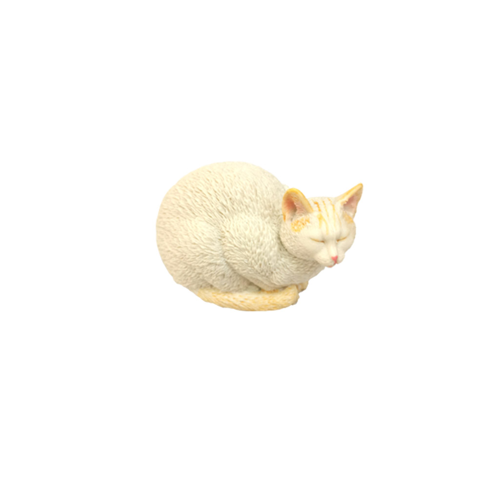 รหัสสินค้า: SL342481