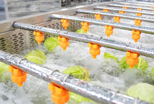 Máquina Industrial de Lavado de Vegetales con Burbujas de Aire y Ozono, Limpiador de Tomates, Zanahorias, Repollo, Manzanas y Mangos - Product Image 6