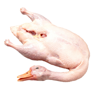 High-Demand <strong>Peking</strong> Halal Whole <strong>Duck</strong> Quality Assured Part-Frozen Grade a Low-Fat 24-Month Shelf Life for Global Distributors - Product Image 2