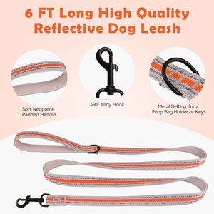 QDYU Juego de Correa Reflectante Acolchada de Neopreno Suave Ecológica con Hebilla de Seguridad y Collar Martingale de Nailon para Reptiles, Naranja y XS - Product Image 3