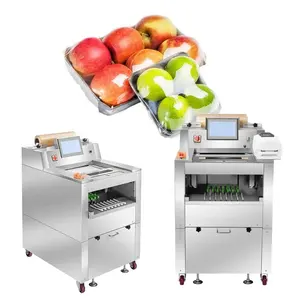 Automatic Cling Film Chicken Tray Sealer Packaging Machine Vegetable and Fruit Wrapping Packing Machine Touch Screen 500