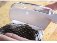 Offre Spéciale : Pince à Écailler le Poisson en Plastique – Outil Manuel de Nettoyage et d'Écaillage, Vraiment Incroyable