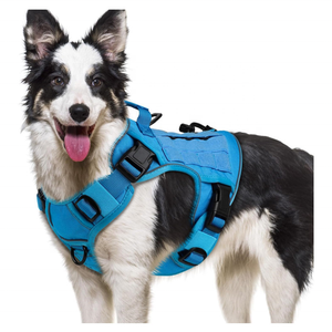 Correa de Torso Ajustable y Antitirones para Mascotas, Tejido de Malla Transpirable con Detalles Reflectantes para Perros, Ideal para Paseos Diarios al Aire Libre - Product Image 3