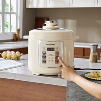 Cuisinière électrique à pression multifonctionnelle à double chambre de 6 litres, de haute qualité, adaptée à un usage domestique et hôtelier.