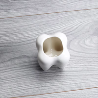Vase en céramique en forme de dent Pots de jardinière succulente Pot de fleur Conteneur de stylo