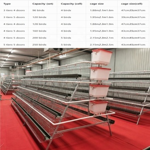 Système de cages automatiques <span class=keywords><strong>pour</strong></span> poules pondeuses de type A de haute qualité, équipement d'élevage avicole, cages à poulets en batterie galvanisées à chaud - Product Image 6