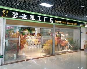 Preservada larga vida común Reed <span class=keywords><strong>Phragmites</strong></span> <span class=keywords><strong>Australis</strong></span> Hotel Decoración - Product Image 5