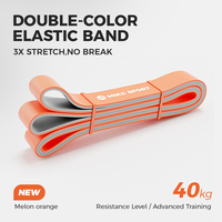 Juego de Bandas de Resistencia de Látex MIKE SPORTS - Ecológicas y Duraderas, Asistente de Dominadas para Entrenamiento de Fuerza, Yoga y Ejercicio en Casa
