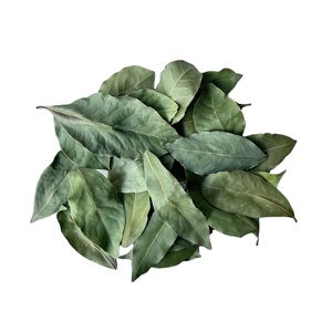 Vente en gros d'usine de feuilles de laurier brutes séchées naturelles de première qualité cueillies à la main sélectionnées 4-7cm 20kg boîte d'emballage d'épices aromatiques - Product Image 4