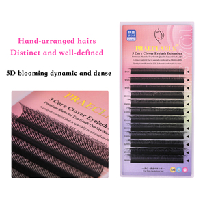 PRE038 Extension de cils 3D 5D Fairy w - Product Image 3