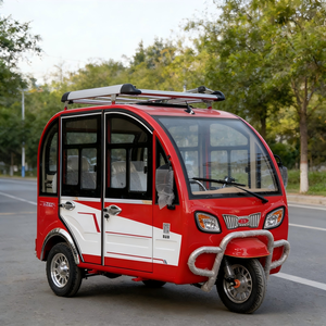 Tricycle électrique de luxe pour excursions touristiques, 3 places, cabine fermée, 1000W, 400kg, certifié EEC/DOT pour les excursions en ville - Product Image 3