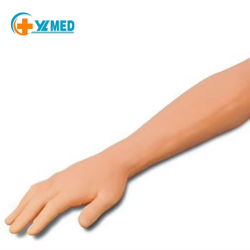 PVC Natural Acupuncture Model with Large