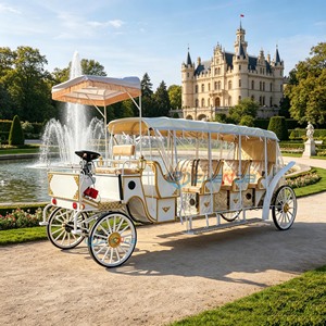 Calèche royale vintage électrique personnalisée à 4 roues avec rideau de pluie, blanche, pour visites touristiques - Product Image 5