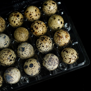 Shengyiyuan 18 20 24 30 Holes Clear Disposable Clamshell Plastic Packaging <strong>Quail</strong> <strong>Egg</strong> Trays - Product Image 5