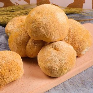 2023 Produk Laris Ekspor DETAN Jamur Surai Singa Organik Kering Jamur Surai - Product Image 3