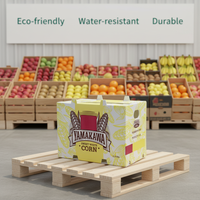 Boîte d'emballage en polypropylène ondulé recyclable et écologique pour l'emballage agricole, caisse à fruits pliable personnalisable