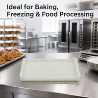 CE RoHS gecertificeerde, food grade HDPE IQF vriesbak, stapelbaar, geperforeerd gaas voor koude opslag van vis, vlees en fruit