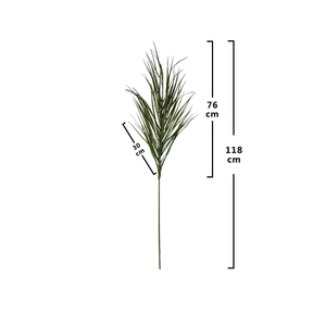 Plantes de Pampas Individuelles, Résistantes aux Zones Sombre, pour la Décoration de Bureau et de Chambre - Product Image 1
