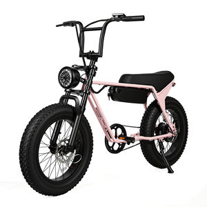 Bicicleta Eléctrica Vintage Cruiser de 48V 250W 750W con Neumáticos Gruesos de 20 Pulgadas, Legal para Circular en la Calle, Motocicleta Eléctrica para Adultos, OEM, Directo de Fábrica, Dropshipping - Product Image 2