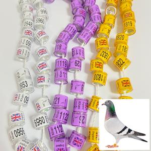 Nt 100Pcs Duivenringen 8Mm Bajonet Identificatie <span class=keywords><strong>Ring</strong></span> Postduif Voet <span class=keywords><strong>Ring</strong></span> Tag - Product Image 2