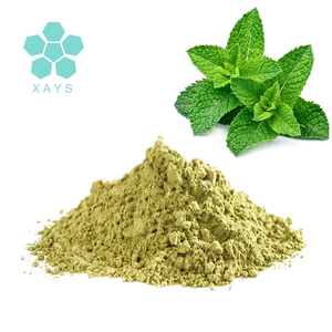 Gefriergetrocknetes Lebensmittelqualität Bio-Pfefferminzblätter-Kräuterextrakt Natürliches Wildminzblatt-Extraktpulver - Product Image 2
