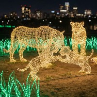 Decoración de Faroles para Parque de Atracciones de Animales, para Navidad, Uso en Interiores/Exteriores, Espectáculo de Luces para Parque Temático