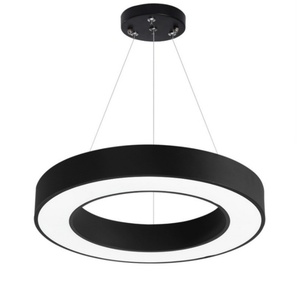 Lustres circulaires ronds, lampes suspendues LED, luminaires pour bureau, salle de conférence, café, bar, centre commercial, décoration - Product Image 3