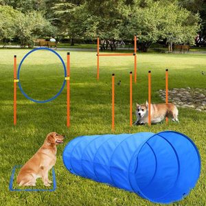 Kingtale Fournisseur d'animaux de compagnie personnalisé Accessoires pour chiens Équipement d'entraînement à l'agilité Produits d'entraînement professionnels pour animaux de compagnie - Product Image 3