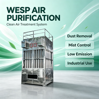Precipitador Electrostático Húmedo (WESP) de Acero Inoxidable en Torre para Purificación Profunda de Gases de Combustión de Calderas en Fábricas de Tableros de Partículas