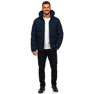 Veste d'hiver matelassée de style urbain pour hommes, confortable, à capuche, en duvet, manches longues, respirante, vente en gros - Product Image 1