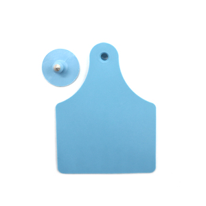 <span class=keywords><strong>Tag</strong></span> Telinga Ternak & Hewan Ternak Murah Grosir YDES045 Bahan TPU Teknologi Pengkodean Laser <span class=keywords><strong>Tag</strong></span> Telinga Digital untuk Babi - Product Image 2