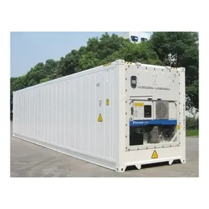 20ft 40ft Mobile Refrigerated Reefer Container Cold Storage Cooling Freezing Room