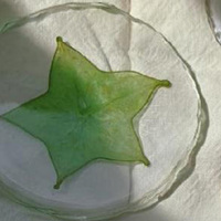 Handgemaakte epoxyhars onderzetters met echte fruitschijfjes, hittebestendig design - perfect voor thuis, kopjesonderzetter, keuken, café decoratie, cadeau