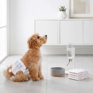 (M, 10 pièces) Couches jetables super absorbantes pour chien, pour chienes en période de chaleur, pour l'excitation et l'urination, et comme culottes anti-intimidation - Product Image 1